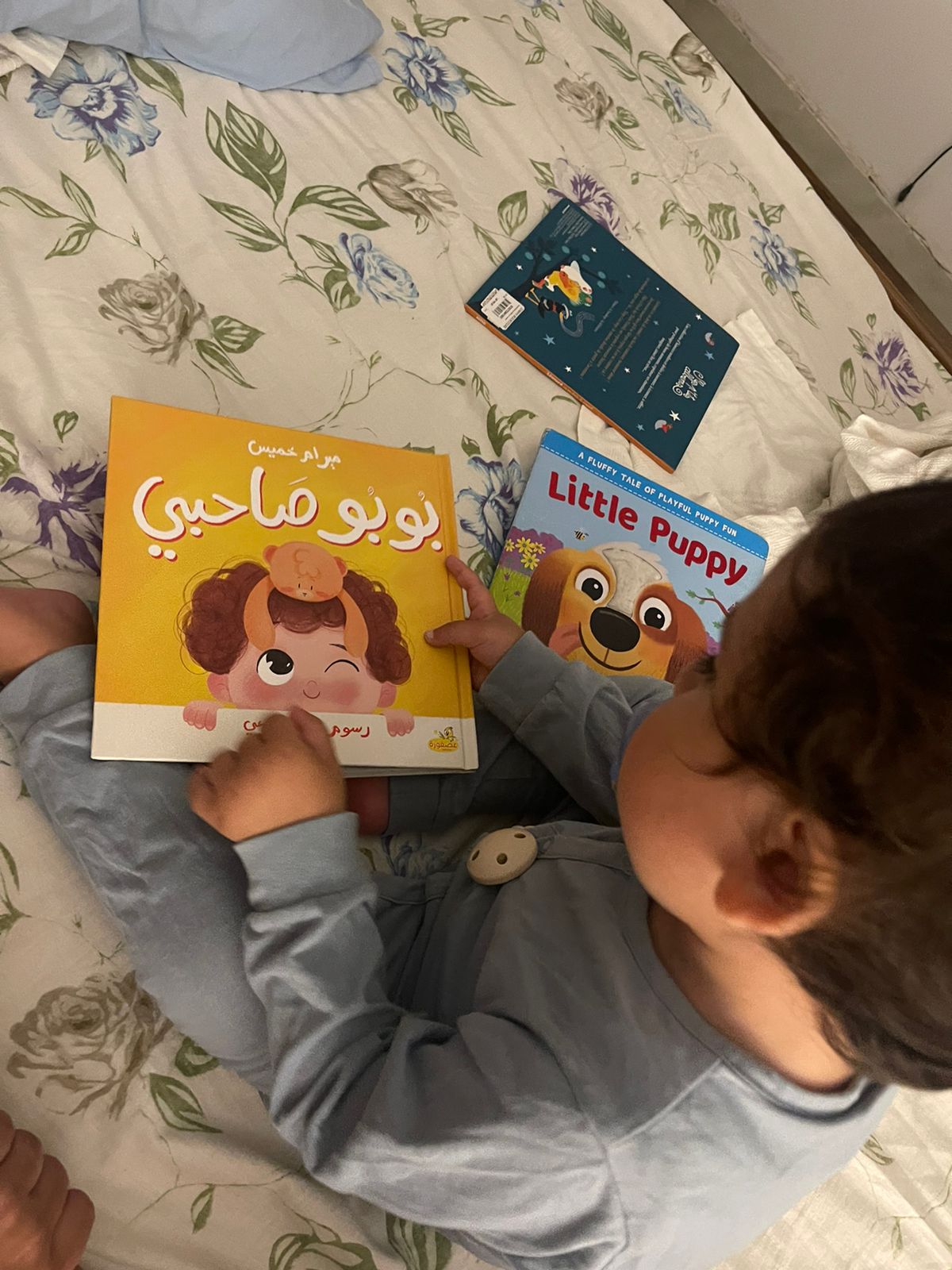 My Friend Bubu | بوبو صاحبي